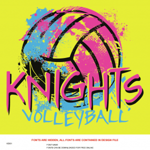 Volleyball
